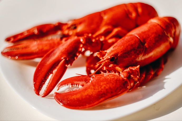 Top Tips for Cooking Lobster