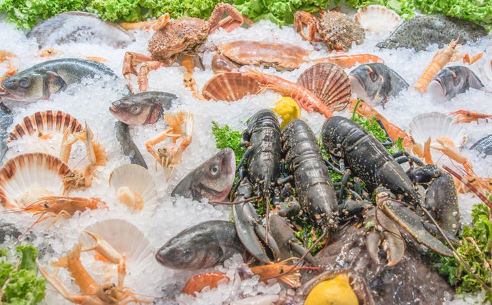Best Tips for Properly Thawing Seafood