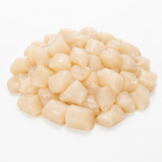 Studio product image of Bay Scallops on a clean white background.