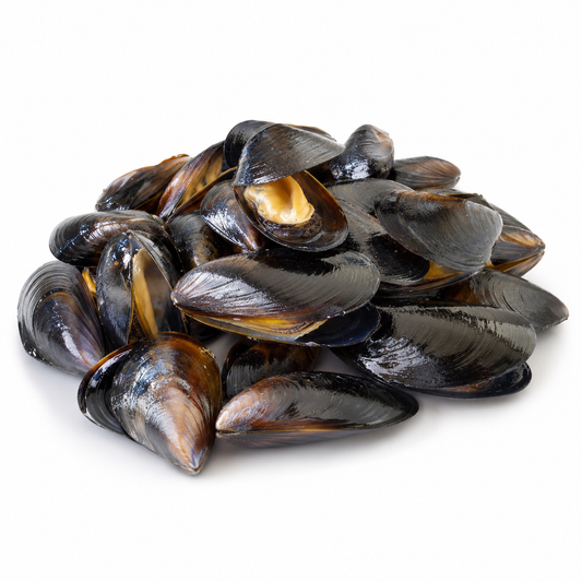 Studio product image of Blue Mussels on a clean white background.