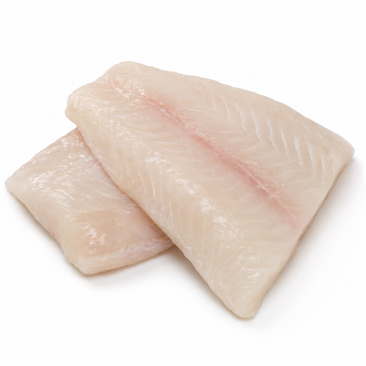 Pacific Grouper