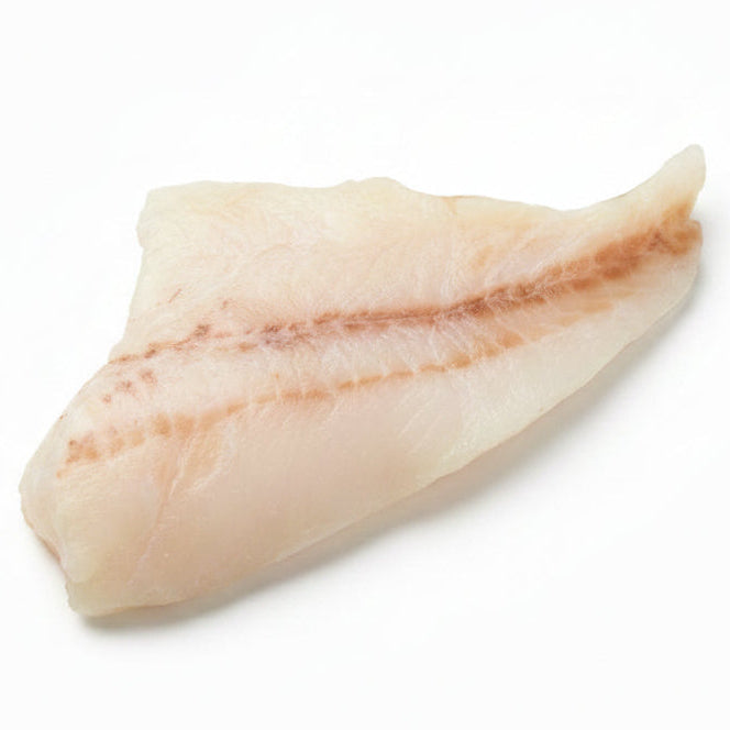 Orange Roughy