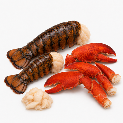 Lobster