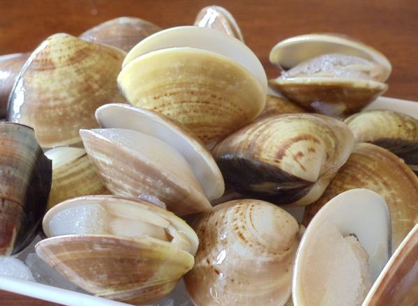 Shellfish