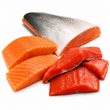 Salmon