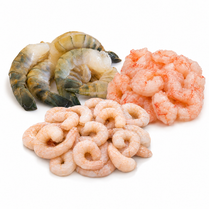 Shrimp