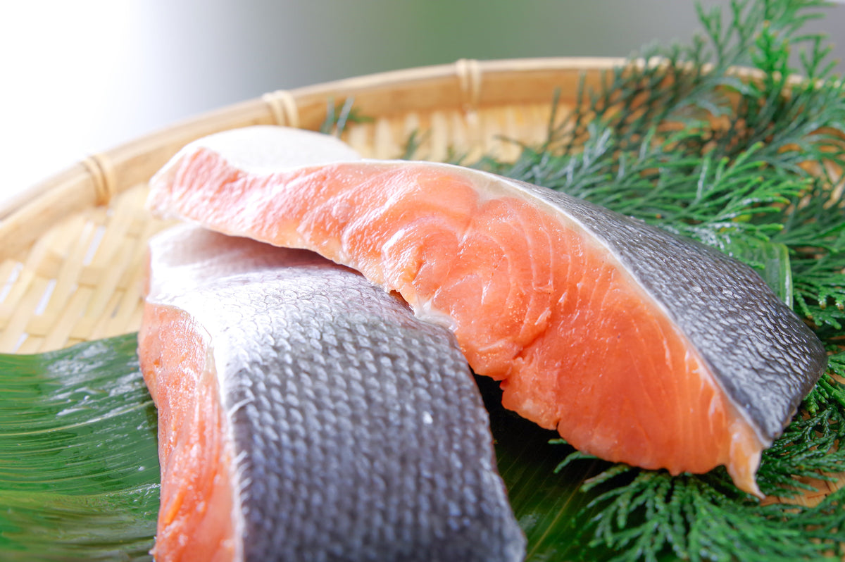 Alaskan Coho Salmon (Wild-Caught)