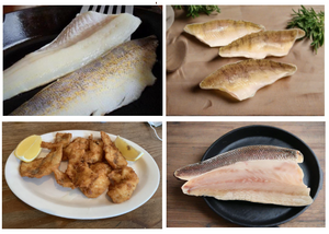 Walleye, Perch, Bluegill and Whitefish