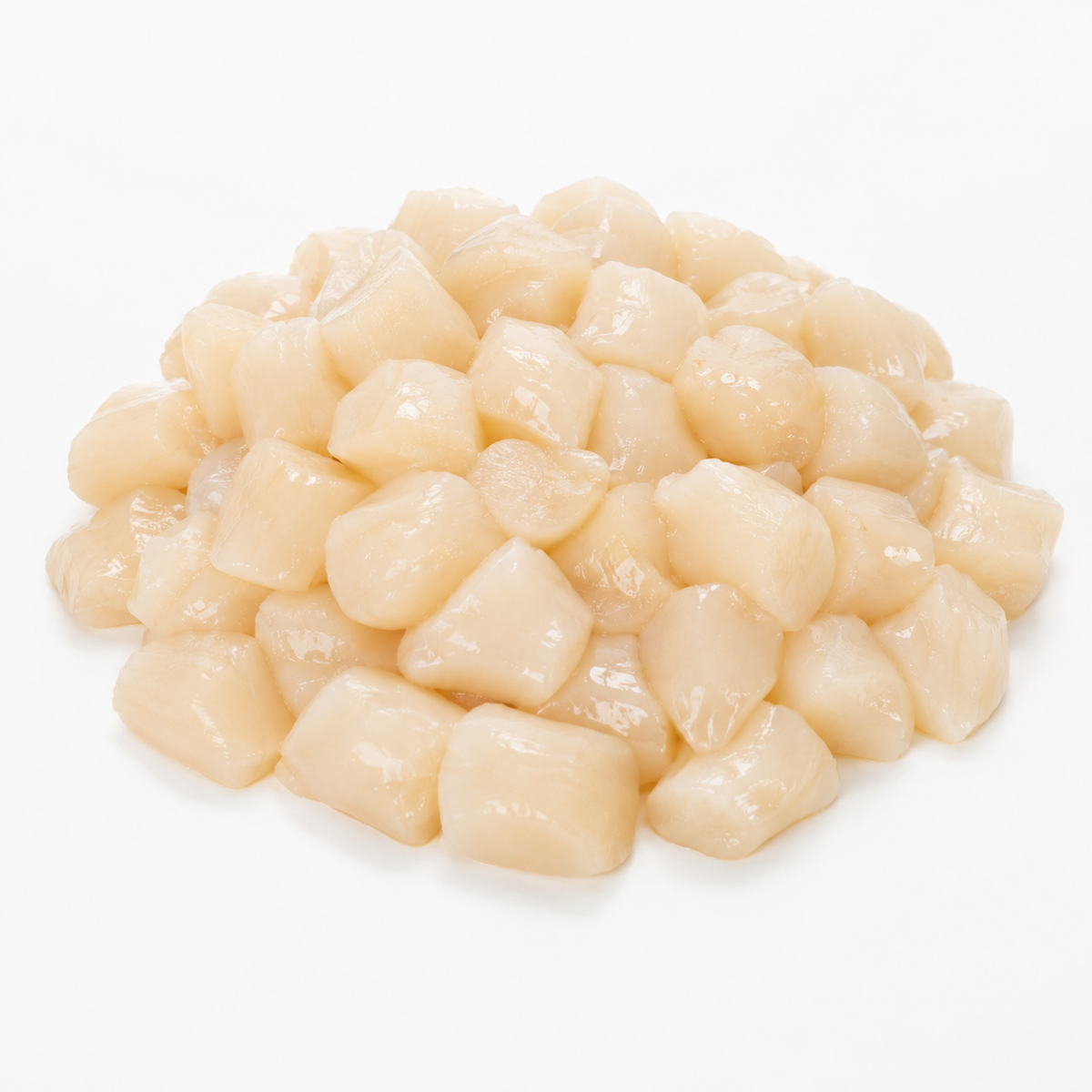 Bay Scallops