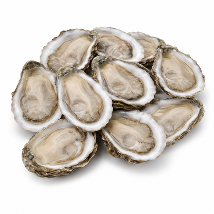 Chesapeake Bay Oysters