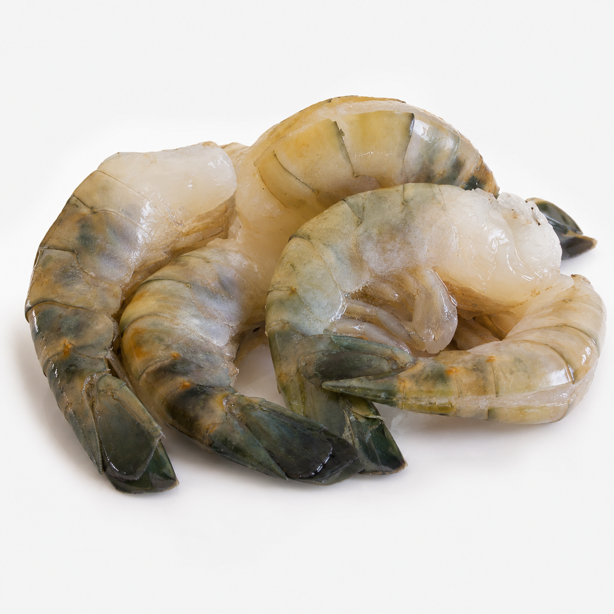 Freshwater Prawns