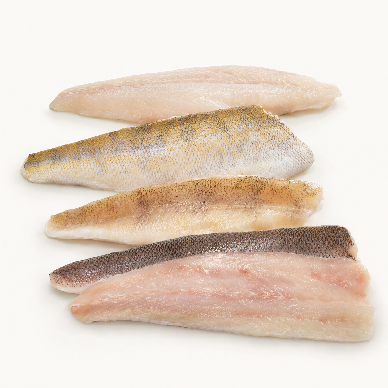 Studio product image of Freshwater Bundle on a clean white background.