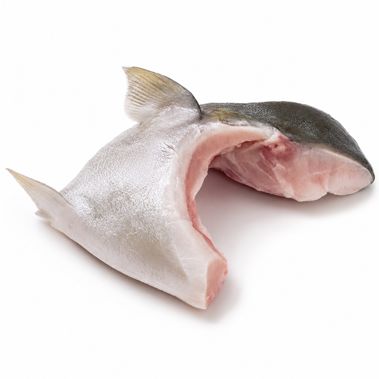 Yellowtail Collars