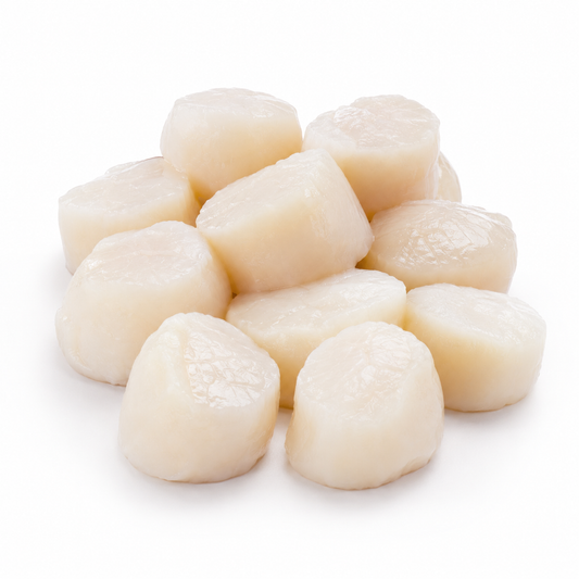 Studio product image of Sea Scallops on a clean white background.
