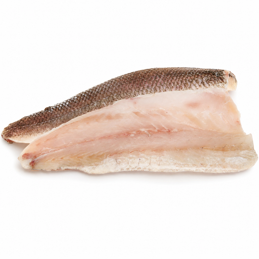 Studio product image of Lake Whitefish on a clean white background.