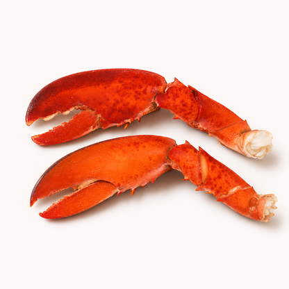Studio product image of Lobster Claws on a clean white background.