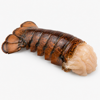 Studio product image of 12 to 14 Oz. Lobster Tail on a clean white background.