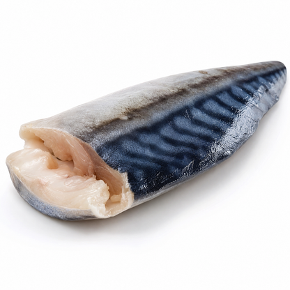 Studio product image of Norwegian Mackerel Fillets on a clean white background.