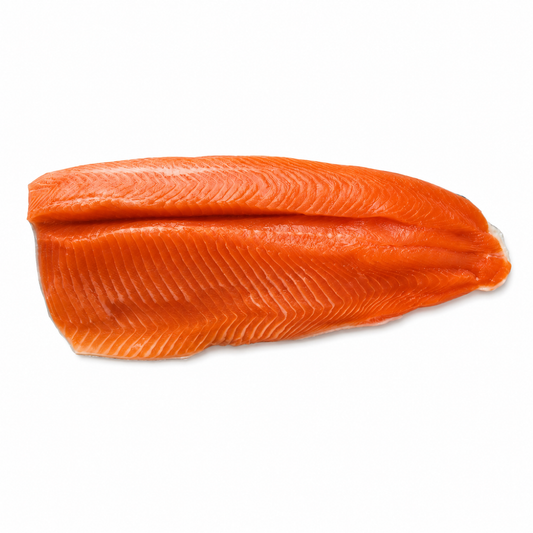 Rainbow Trout Fillet