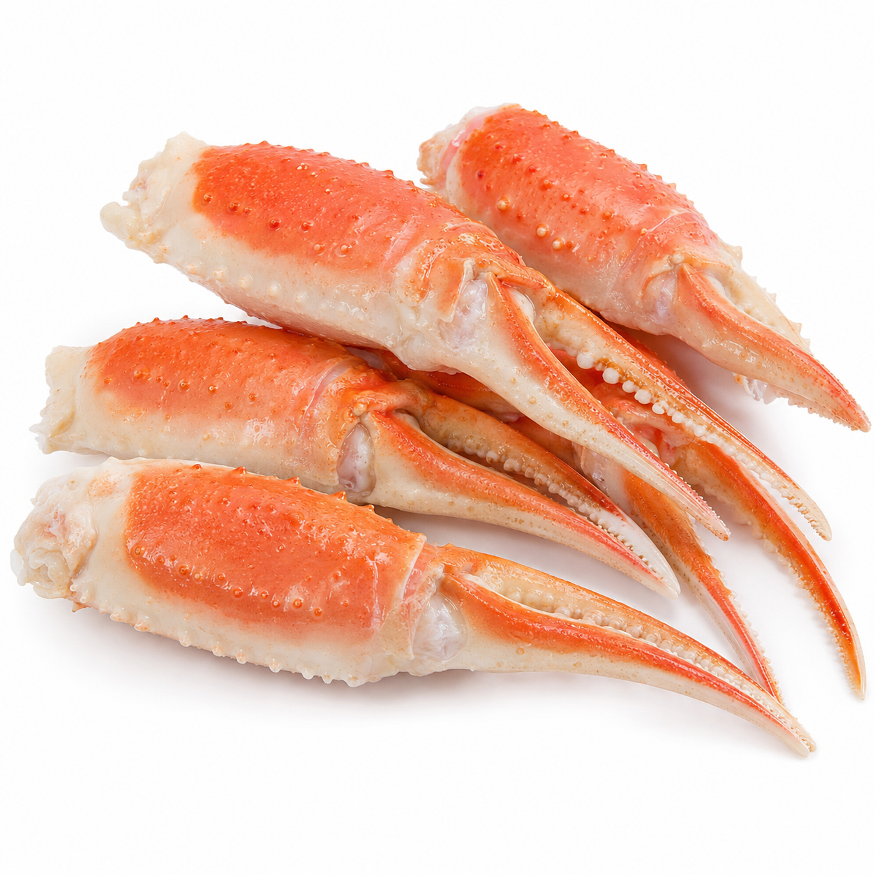 Snow Crab Claws
