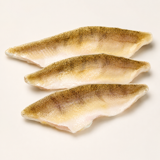 Yellow Lake Perch