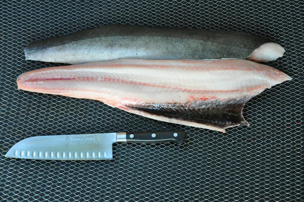Sablefish (Black Cod, Wild-Caught) – Oceanside Seafood