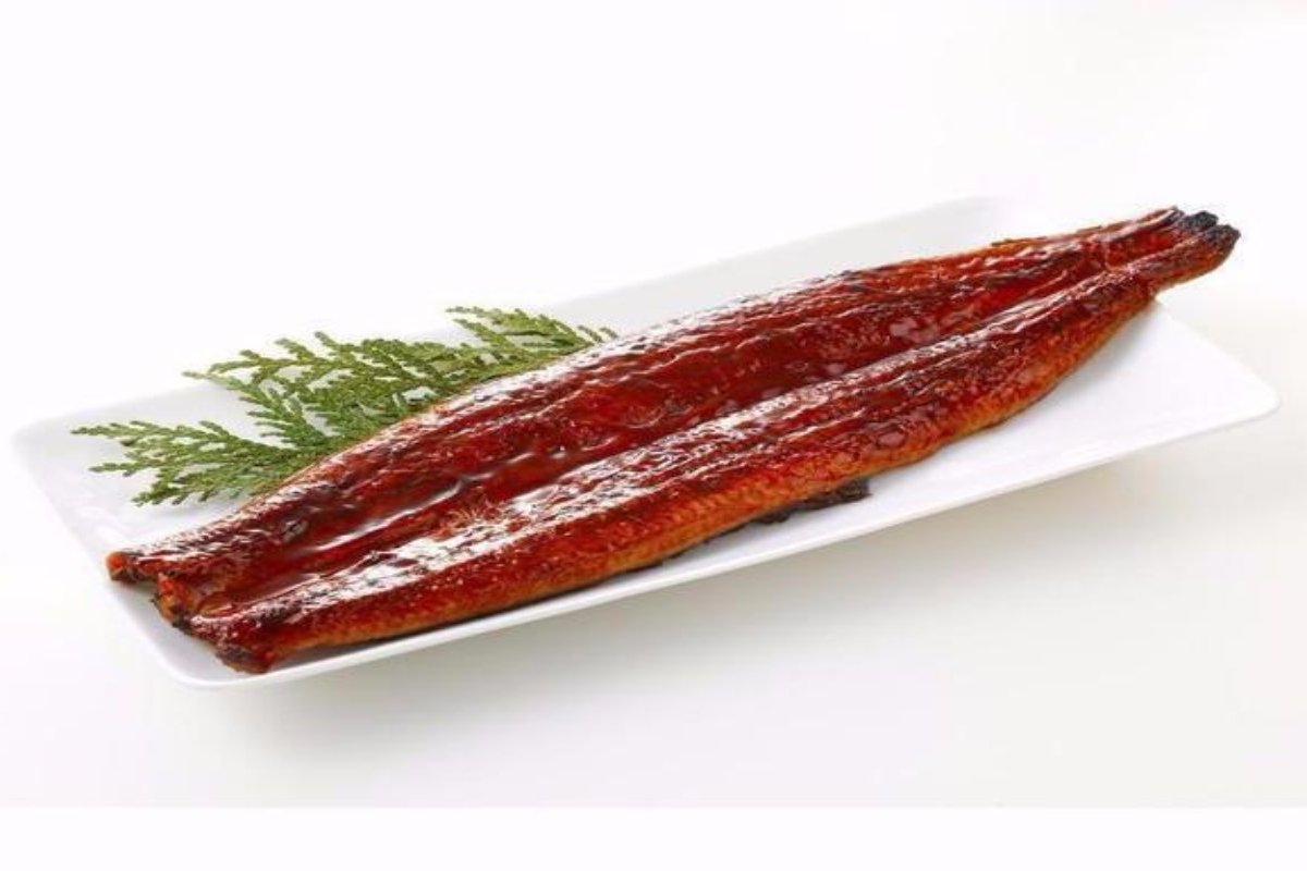 Grilled Eel
